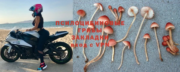 амф Сатка